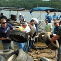 Register For The Great Allatoona Clean Up Register For The Great Allatoona Clean Up